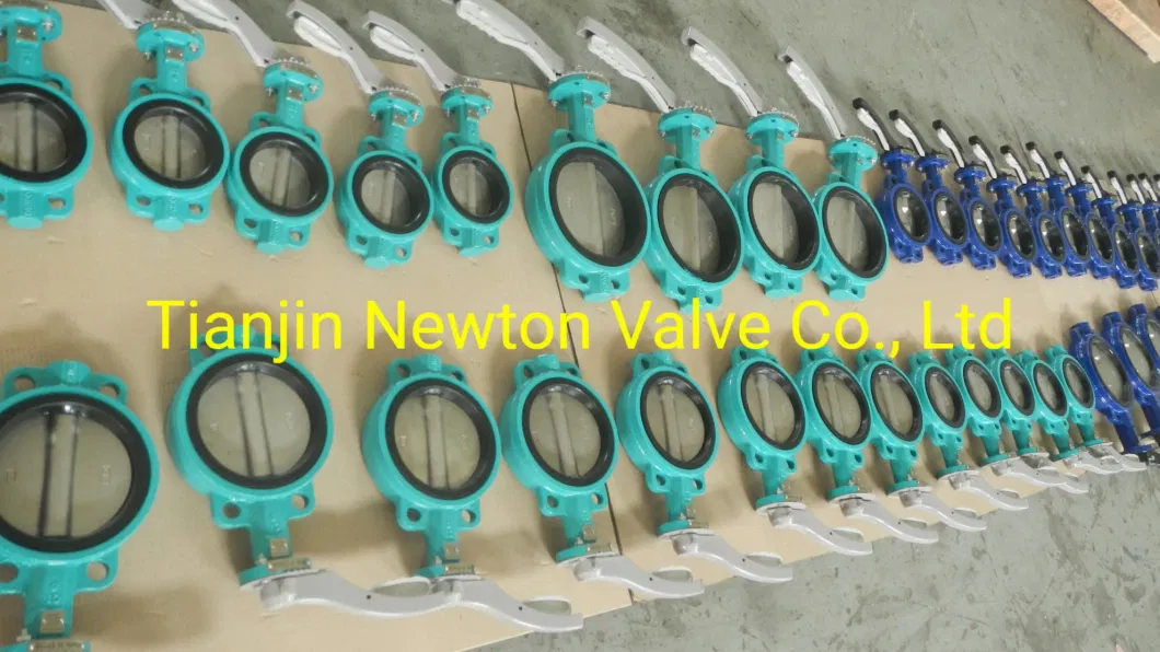 Pn6 Pn16 Pn25 JIS5K 10K 16K Wafer Semi Lug Doule Flange U Type Concentric Line Resilient Seated Soft Seat Butterfly Valves for Marine